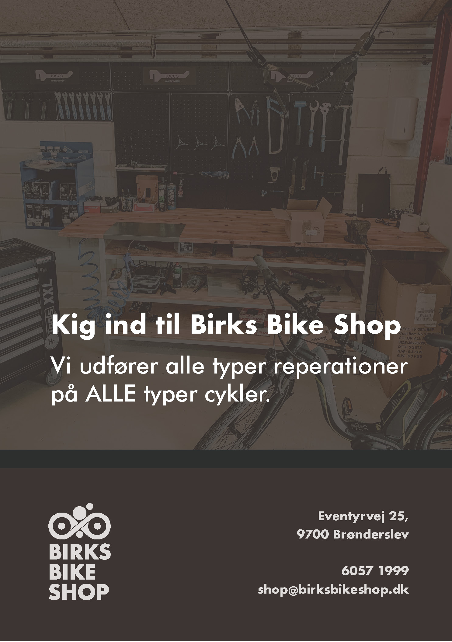 Birks Bike Shop 3